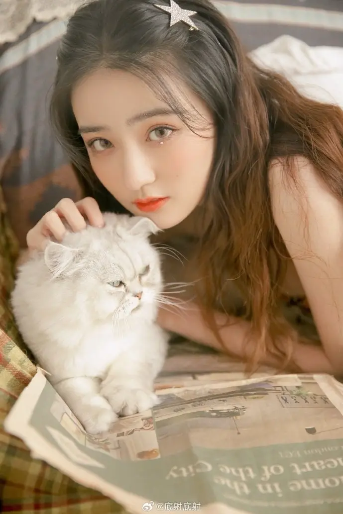 掌上洛克下载游戏截图